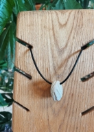 Collar orgánico