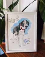 Ilustración personalizada