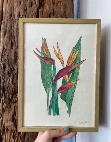 Ilustración personalizada